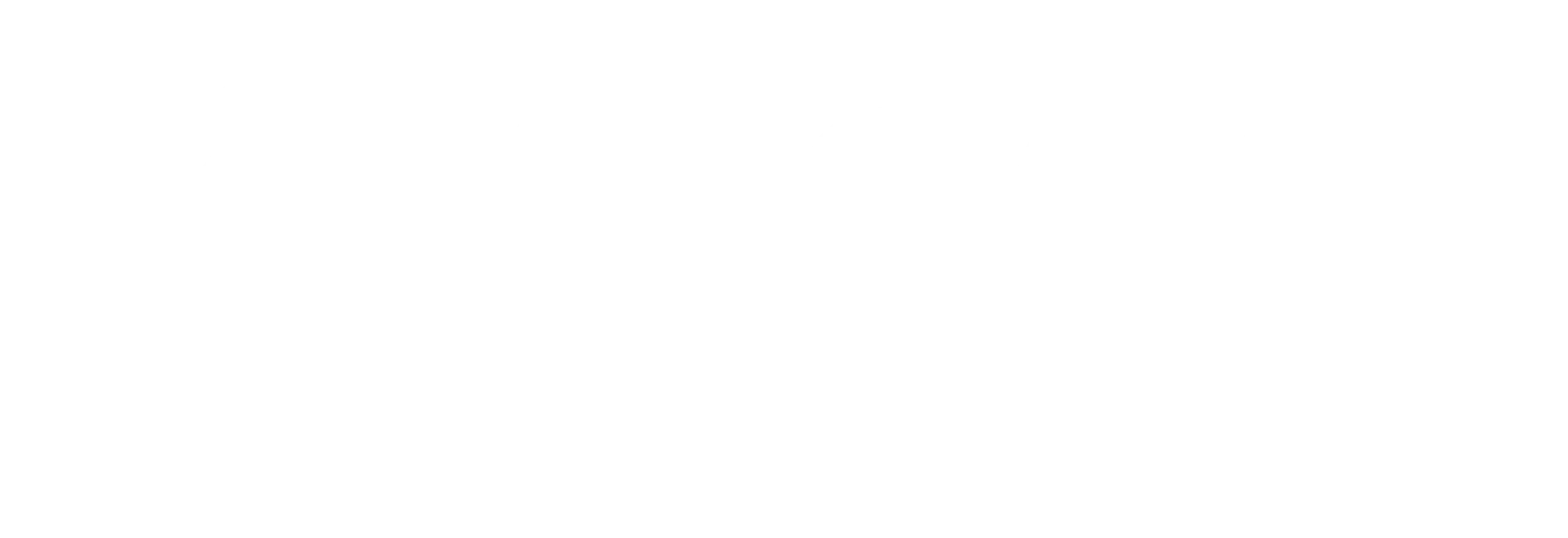 CAISSE logo