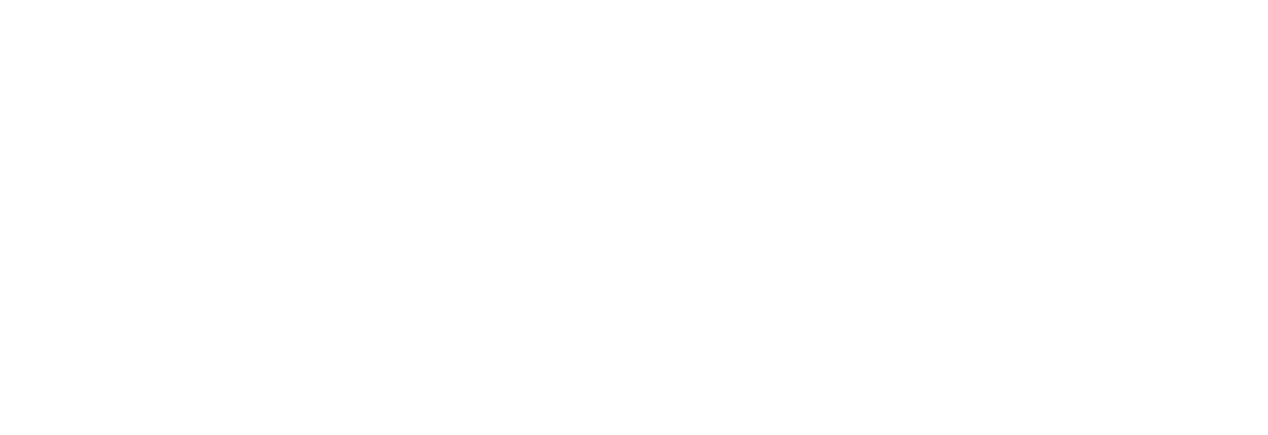 logo CAISSE